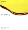 Bedrock Beautiful Strange Формат: Audio CD (Jewel Case) Дистрибьютор: Pioneer Entertainment Inc Лицензионные товары Характеристики аудионосителей 2001 г Альбом инфо 3394f.